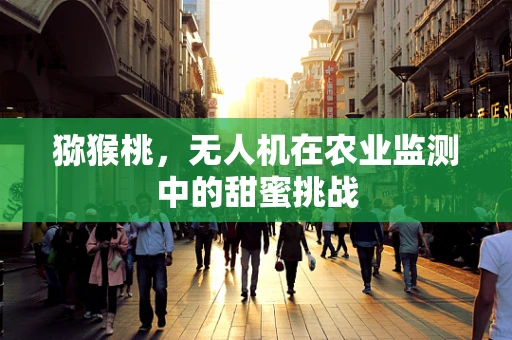 猕猴桃，无人机在农业监测中的甜蜜挑战