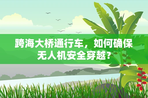 跨海大桥通行车，如何确保无人机安全穿越？
