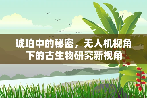 琥珀中的秘密，无人机视角下的古生物研究新视角
