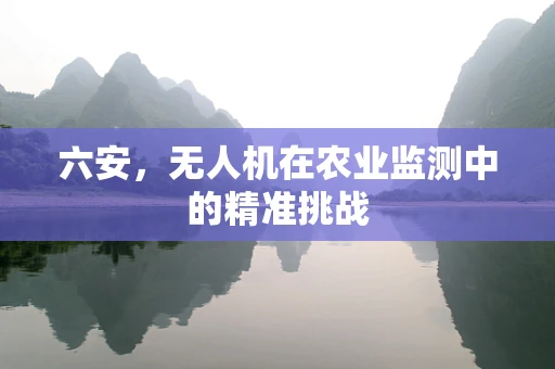 六安，无人机在农业监测中的精准挑战