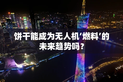 饼干能成为无人机‘燃料’的未来趋势吗？