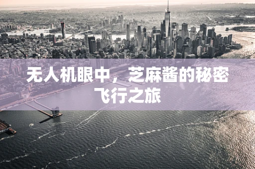 无人机眼中，芝麻酱的秘密飞行之旅
