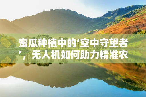 蜜瓜种植中的‘空中守望者’，无人机如何助力精准农业？