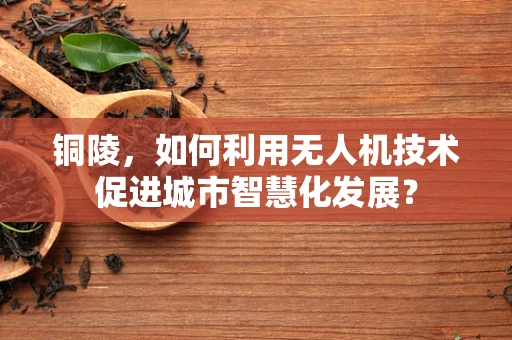 铜陵，如何利用无人机技术促进城市智慧化发展？