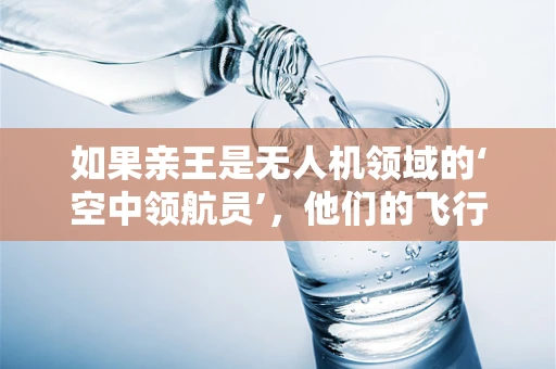 如果亲王是无人机领域的‘空中领航员’，他们的飞行安全如何保障？
