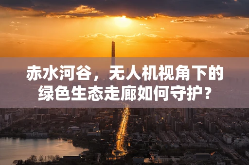 赤水河谷，无人机视角下的绿色生态走廊如何守护？