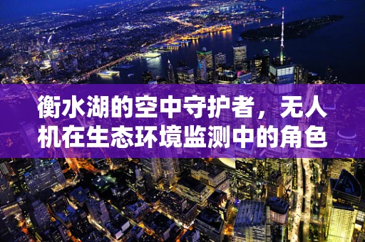 衡水湖的空中守护者，无人机在生态环境监测中的角色？