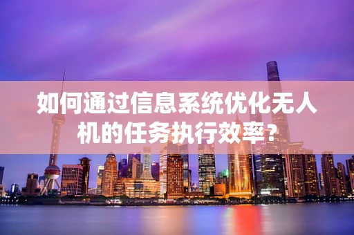 如何通过信息系统优化无人机的任务执行效率？