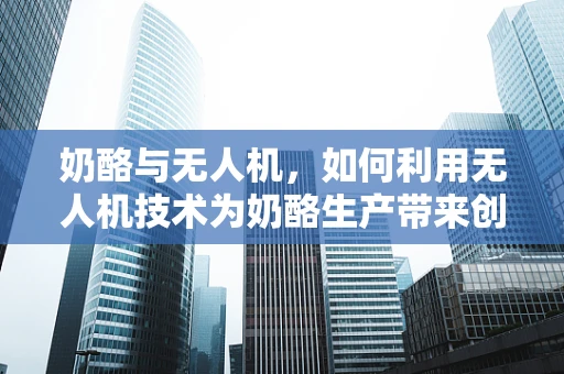 奶酪与无人机，如何利用无人机技术为奶酪生产带来创新？