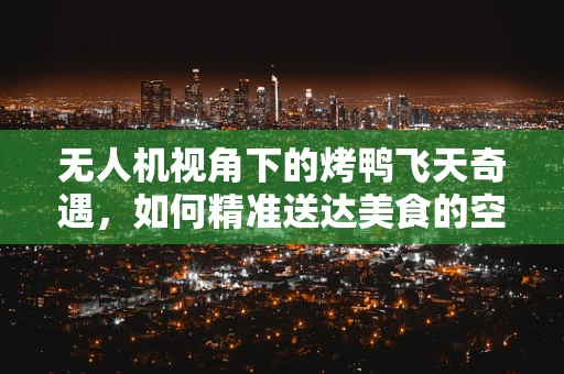 无人机视角下的烤鸭飞天奇遇，如何精准送达美食的空中艺术？