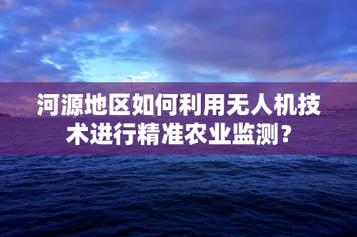 河源地区如何利用无人机技术进行精准农业监测？