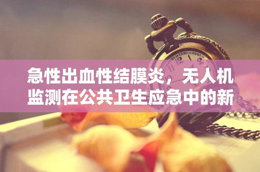 急性出血性结膜炎，无人机监测在公共卫生应急中的新视角？