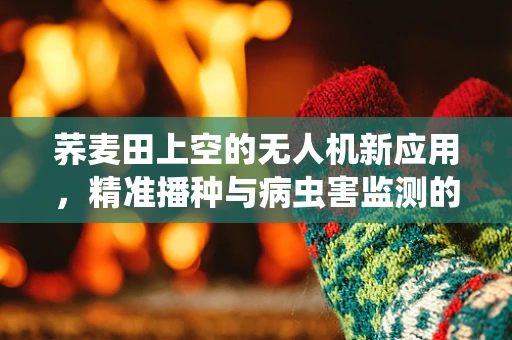 荞麦田上空的无人机新应用，精准播种与病虫害监测的智慧之选？