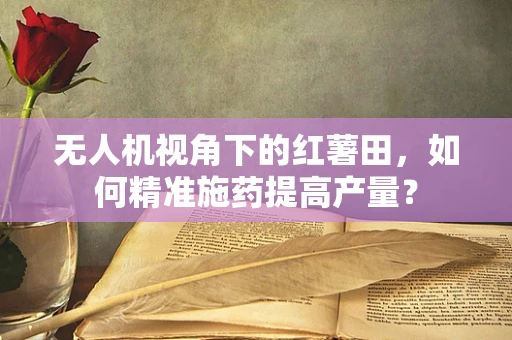 无人机视角下的红薯田，如何精准施药提高产量？