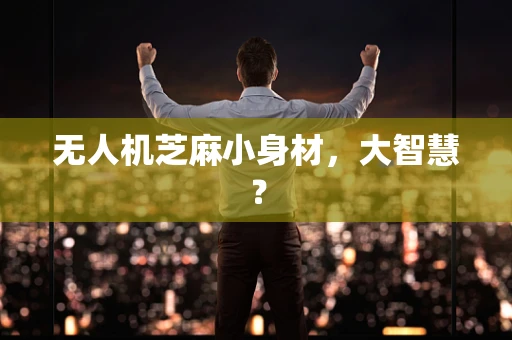 无人机芝麻小身材，大智慧？