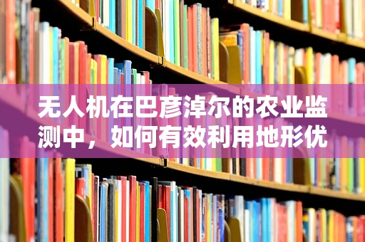 无人机在巴彦淖尔的农业监测中，如何有效利用地形优势？