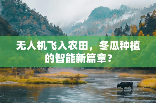 无人机飞入农田，冬瓜种植的智能新篇章？