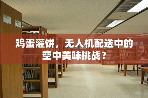 鸡蛋灌饼，无人机配送中的空中美味挑战？