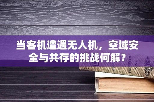 当客机遭遇无人机，空域安全与共存的挑战何解？