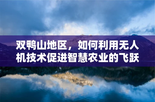 双鸭山地区，如何利用无人机技术促进智慧农业的飞跃？