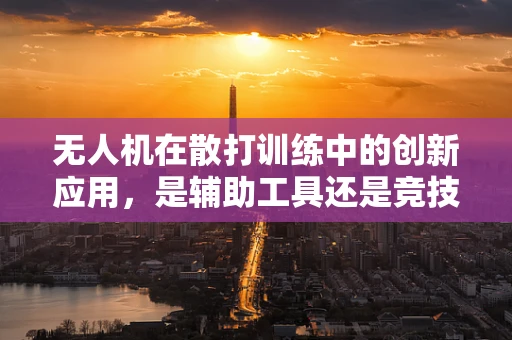 无人机在散打训练中的创新应用，是辅助工具还是竞技新维度？