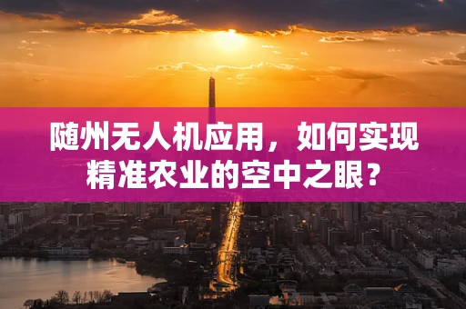 随州无人机应用，如何实现精准农业的空中之眼？
