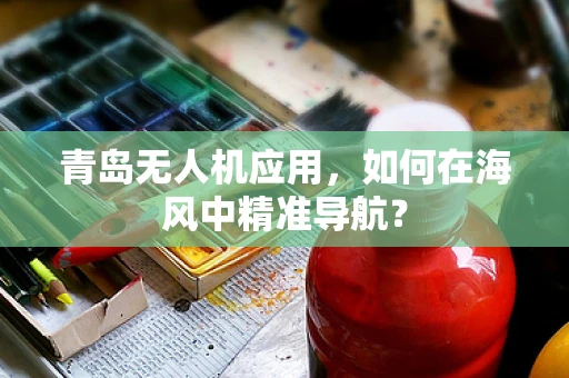 青岛无人机应用，如何在海风中精准导航？