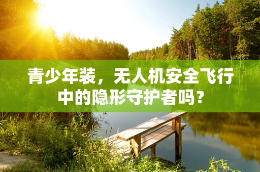 青少年装，无人机安全飞行中的隐形守护者吗？