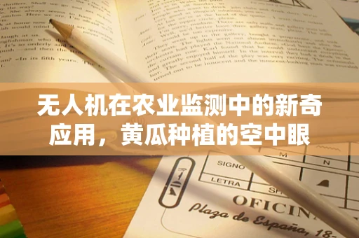 无人机在农业监测中的新奇应用，黄瓜种植的空中眼