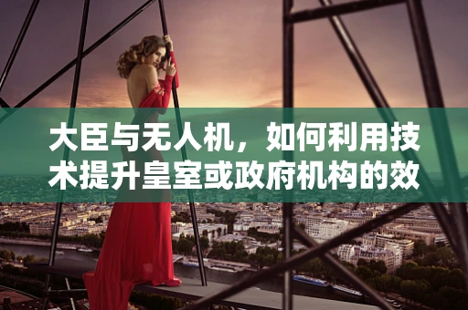 大臣与无人机，如何利用技术提升皇室或政府机构的效率？
