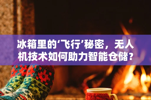 冰箱里的‘飞行’秘密，无人机技术如何助力智能仓储？