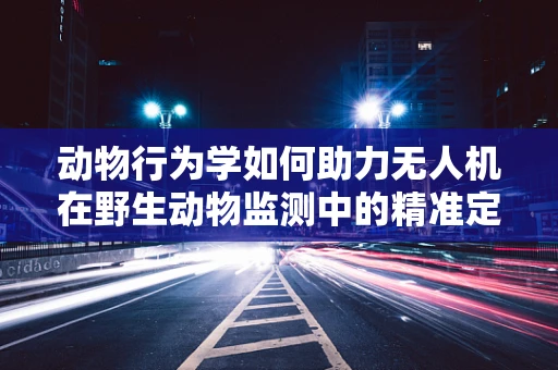 动物行为学如何助力无人机在野生动物监测中的精准定位？