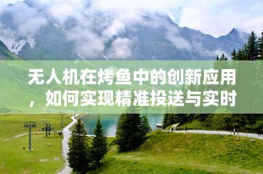 无人机在烤鱼中的创新应用，如何实现精准投送与实时监控？