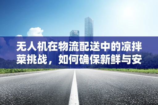 无人机在物流配送中的凉拌菜挑战，如何确保新鲜与安全？