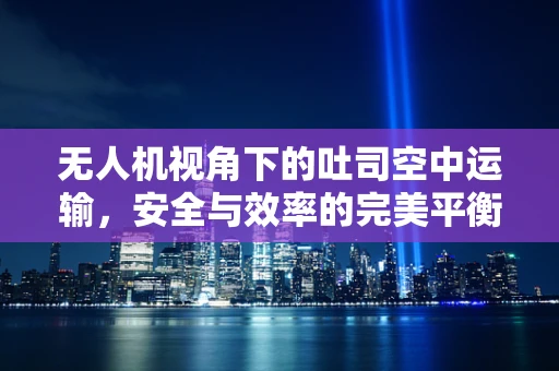 无人机视角下的吐司空中运输，安全与效率的完美平衡在哪里？