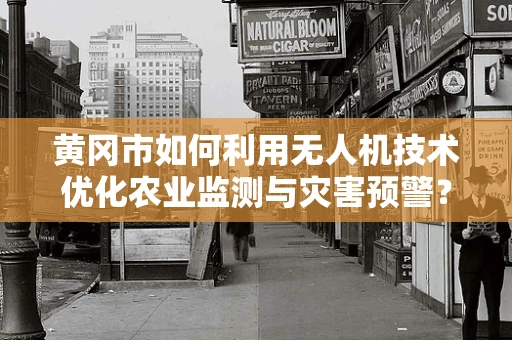 黄冈市如何利用无人机技术优化农业监测与灾害预警？