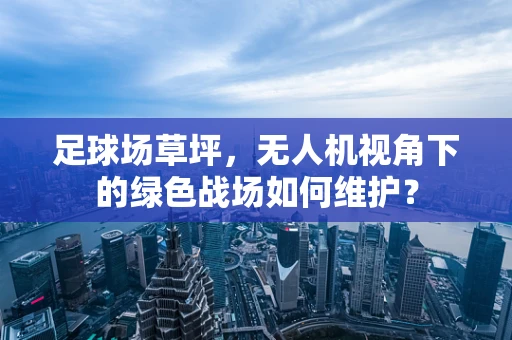 足球场草坪，无人机视角下的绿色战场如何维护？