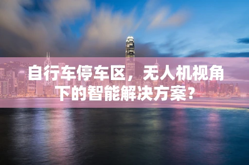 自行车停车区，无人机视角下的智能解决方案？