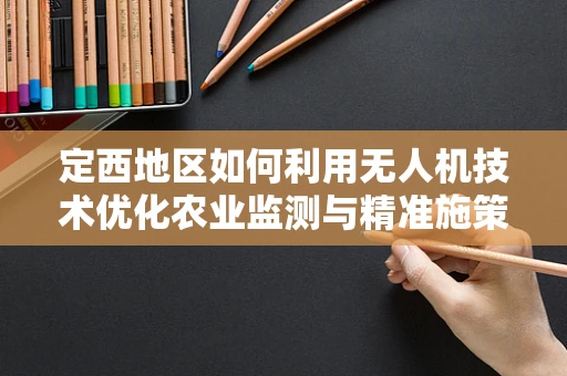 定西地区如何利用无人机技术优化农业监测与精准施策？