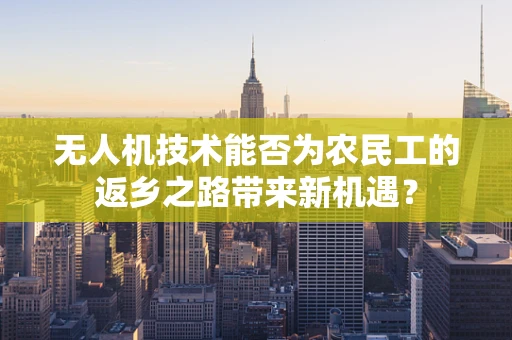 无人机技术能否为农民工的返乡之路带来新机遇？