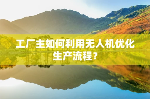 工厂主如何利用无人机优化生产流程？