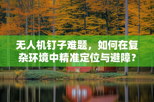 无人机钉子难题，如何在复杂环境中精准定位与避障？