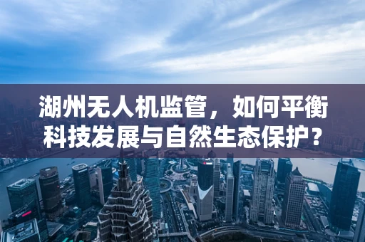 湖州无人机监管，如何平衡科技发展与自然生态保护？
