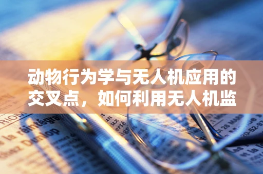 动物行为学与无人机应用的交叉点，如何利用无人机监测野生动物行为？
