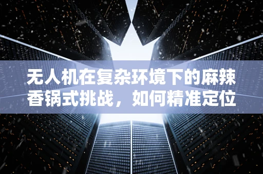 无人机在复杂环境下的麻辣香锅式挑战，如何精准定位与高效配送？