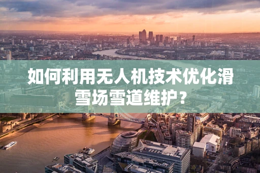 如何利用无人机技术优化滑雪场雪道维护？