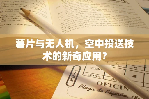 薯片与无人机，空中投送技术的新奇应用？