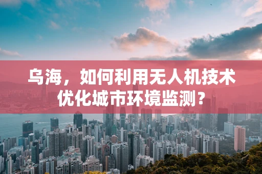 乌海，如何利用无人机技术优化城市环境监测？