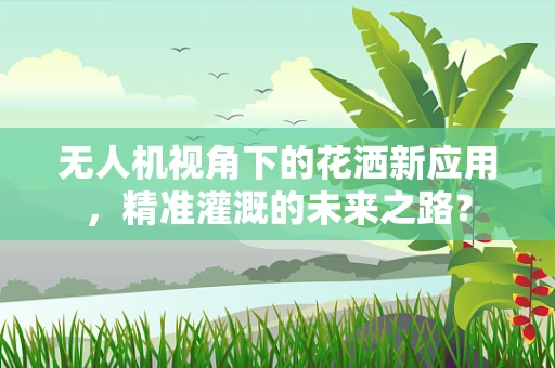 无人机视角下的花洒新应用，精准灌溉的未来之路？