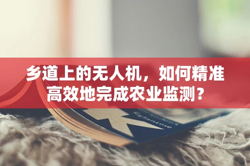 乡道上的无人机，如何精准高效地完成农业监测？
